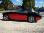 Thumbnail Photo undefined for 1967 Austin-Healey 3000MKIII